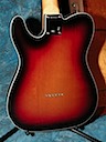 Telecaster Back